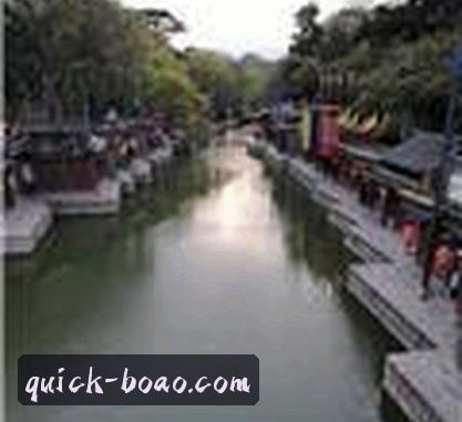刘总